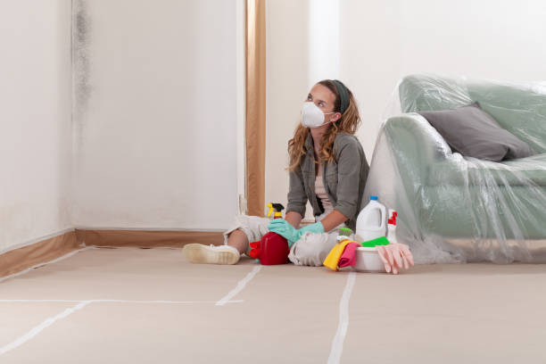 Reliable Mold Cleanup contractor in Oakland, MD by WQB Mold Removal
